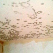 Mold in Ceiling